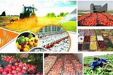 Processing of agricultural products-1