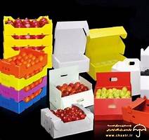 cartons and boxes-1