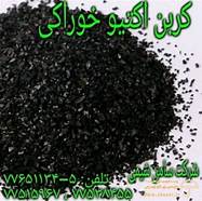 Activated carbon food-1