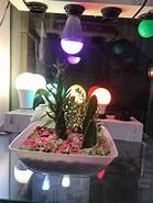 Plant growth lamps and lights-2