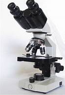 microscope-4