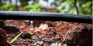 Irrigation system-4